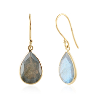 Labradorite Hanging earrings model E010574