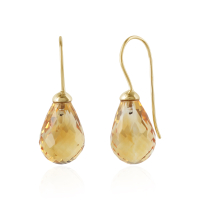 Citrien Oorhangers model E015032