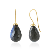 Labradorite Hanging earrings model E015032