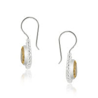 Citrien Oorhanger model E6-035