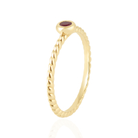 Robijn Ring model R010289