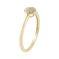 Diamanten Ring model R05717