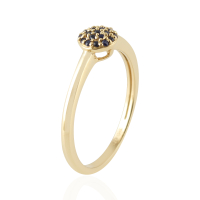  Blauwe Saffier Ring model R05717