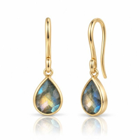Labradorite Hanging earrings model E011152 