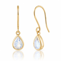 Rainbow Moonstone Hanging earrings model E011152 