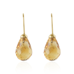 Citrien Oorhangers model E015032