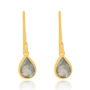 Labradorite Hanging earrings model E011152 