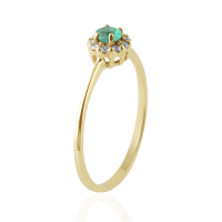 Smaragd met diamant Ring model R011742