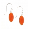 Oorhangers per model