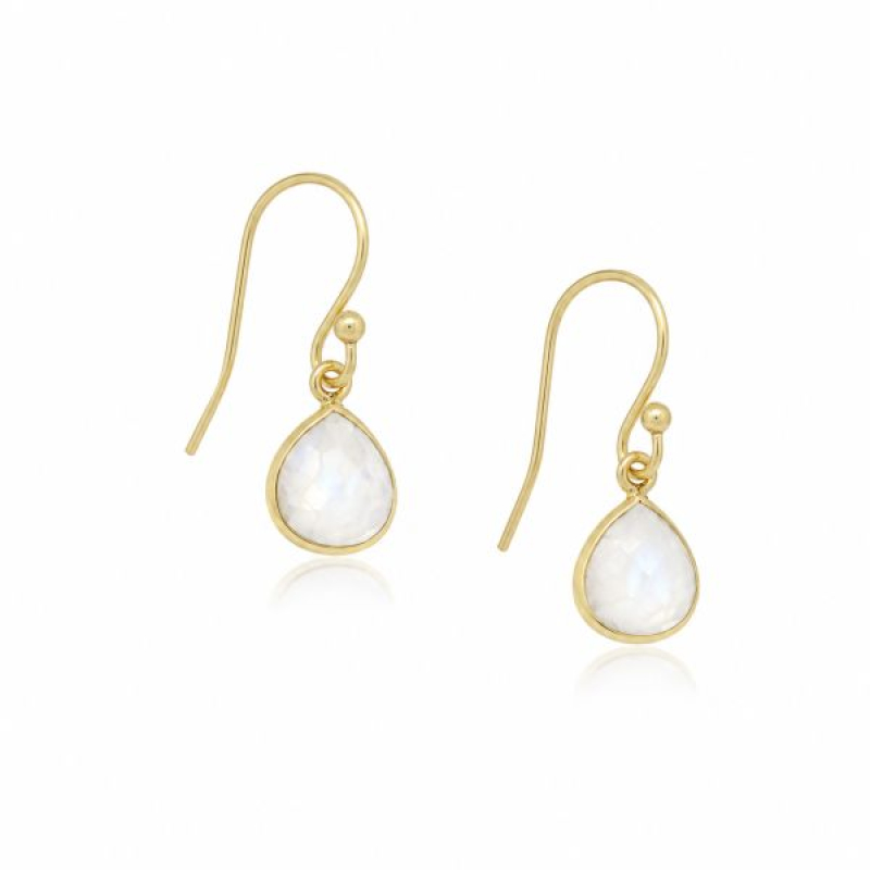 Rainbow Moonstone Hanging earring model E5g-044