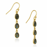 Labradorite Hanging earring E5g-049