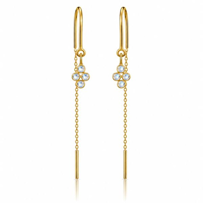 Regenboog Maansteen Hanging earrings E5g-078