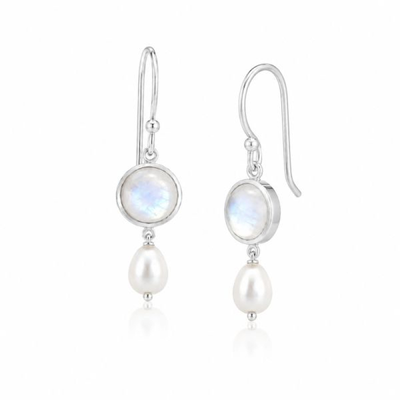 Amethyst Hanging earring model E6-009