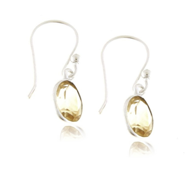 Citrien Oorhanger model E9-124