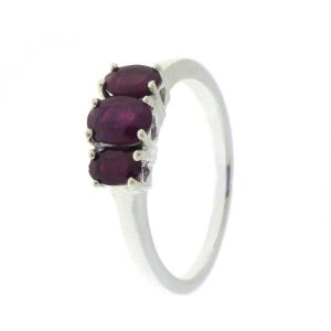 Robijn Ring model R7-009