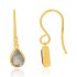 Labradorite Hanging earrings model E011152 