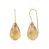 Citrien Oorhangers model E015032