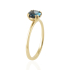 Blauwe Topaas london Ring model R015064
