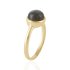 Labradoriet Ring model R05144