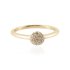 Diamanten Ring model R05717